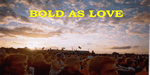 Goodbye To All That: Reading festival at sunset 1999, photo G Jones