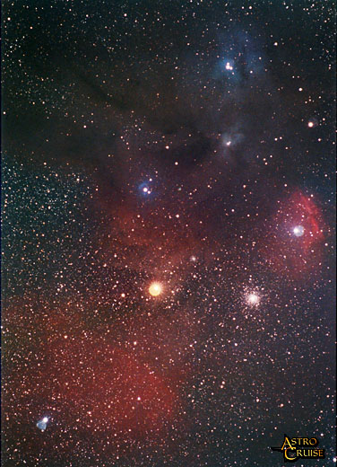 All you ever wanted to know about Neutrino Telescopy